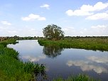 Staines Moor