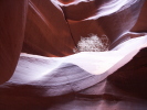 Antelope Canyon - tumbleweed