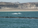 Jet ski near the marina