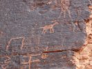 Valley of Fire - petroglyphs