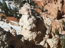 Bryce Canyon - The Poodle