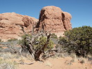 Arches N.P.