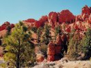 Red rocks