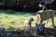 Lego Lions