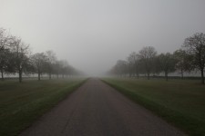 Long Walk in morning fog