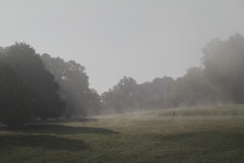 Windsor Great Park jogger