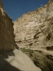 Stream running through Ein Avdat gorge