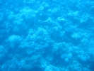 Underwater scenery