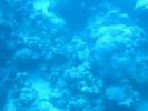 Underwater scenery