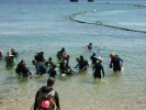 Group preparing to dive