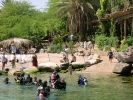 Group preparing to dive