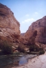 Cliffs and stream at Ein Avdat