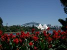 Sydney opera house and harbour bridge