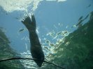 Sydney Aquarium