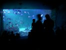 Sydney Aquarium