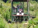 Buller Gorge flying fox