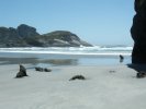 Beach with fur seals