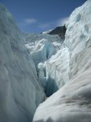 Fox Glacier