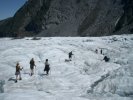 Fox Glacier