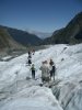 Fox Glacier