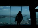 View from Skytower, Auckland