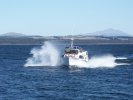 Lake Te Anau