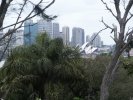 Sydney Opera seen from Sydney Zoo