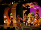 Tokyo Disneyland, Musical show