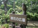 Hakone Detached Palace Garden