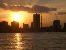 Tokyo skyline at sunset