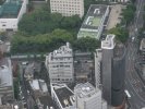 Tokyo Tower view: Shrine and graveyard